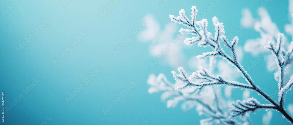 A serene close-up of a frosty branch against a soft blue background, highlighting winter's delicate beauty. A serene close-up of a frosty branch against a soft blue background, highlighting winter's delicate beauty.