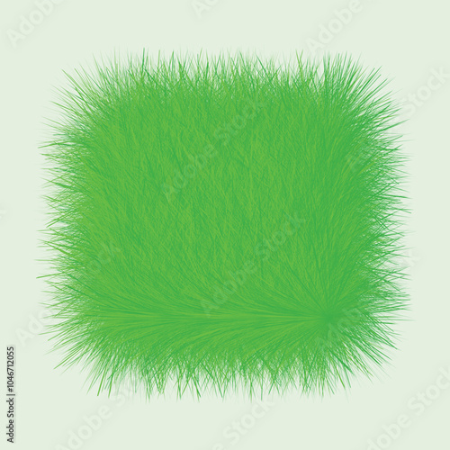 Types of Grass: Choosing the Best Lawn Grass for Your Yard