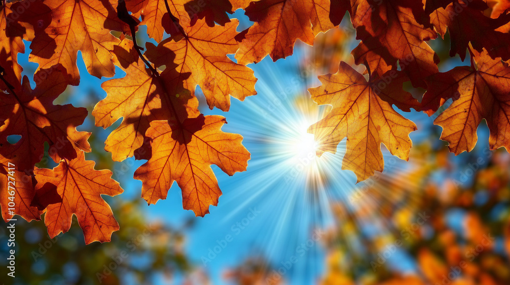 Autumn orange leaves on a tree branch against a blue sky with sun rays Autumn orange leaves on a tree branch against a blue sky with sun rays