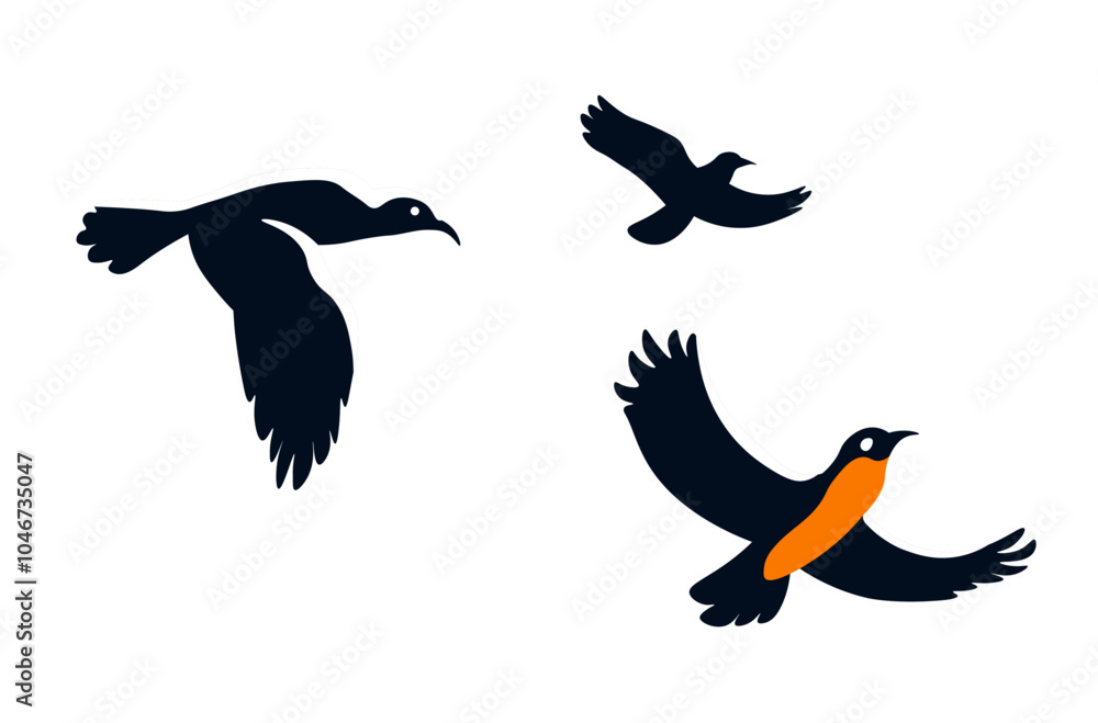 Fototapeta premium Birds Soaring High In Sky
