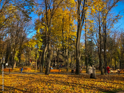 Autumn scene in a park with trees shedding golden leaves and people enjoying a sunny day. photo