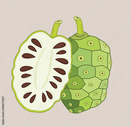 Noni or Morinda citrifolia fruit with sliced