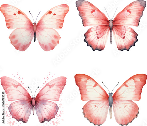 butterflies isolated on white
