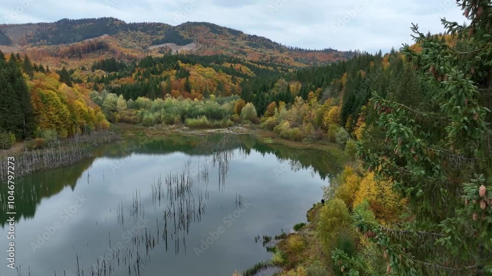 Drone Descending Between Trees at Cuejdel Lake. Slow Motion Drone Descending Between Trees at Cuejdel Lake. Slow Motion
