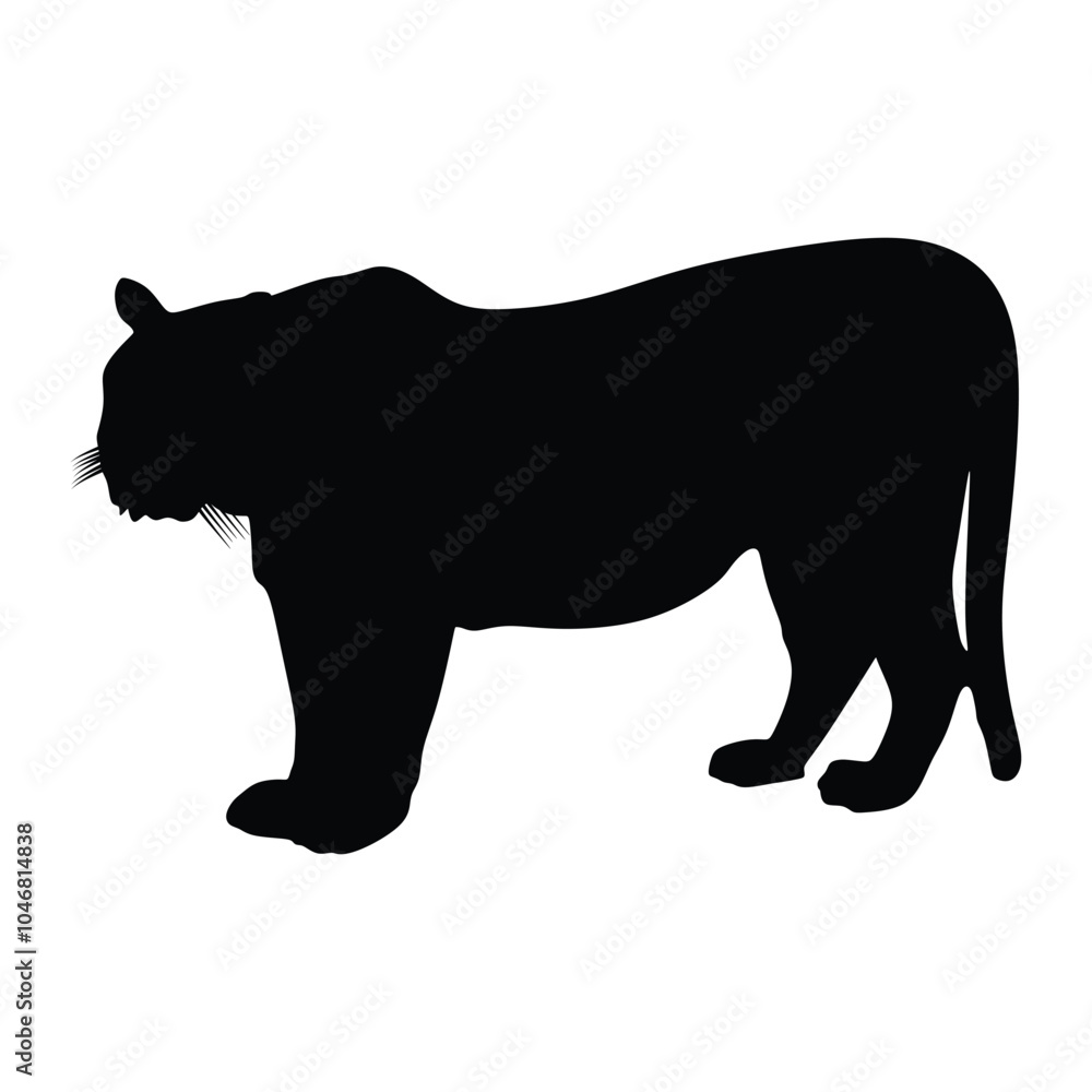 Fototapeta premium silhouette of a cougar on a white background