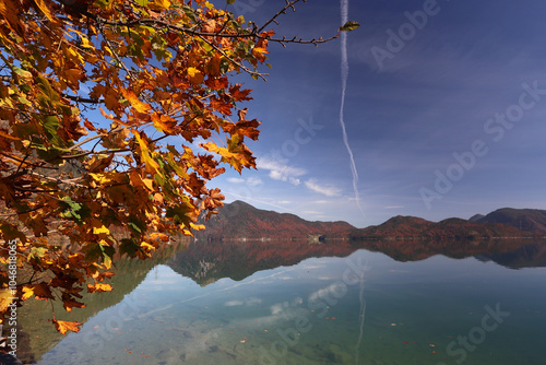 Canvastavla Landschaft