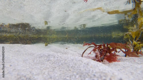 This sandpool at the Atlantic Ocean in Ireland is alife photo