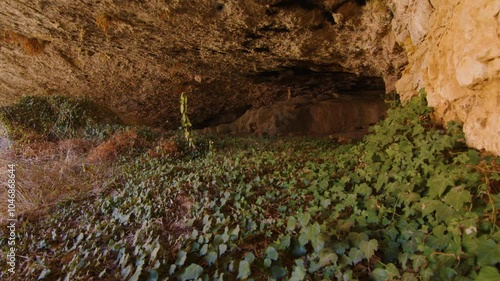 Floor filled with green ivy in a huge cave in the mountainous region of Margalef, Spain photo