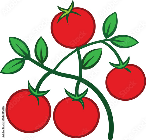 Shows a vine tomato illustration.
