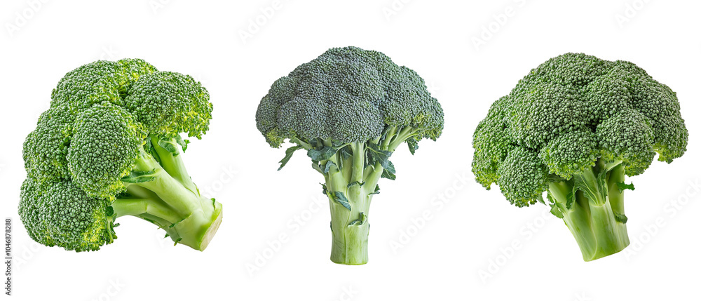 Three fresh broccoli florets isolated on white background. Vibrant green vegetables perfect for healthy cooking and nutritious meals. Three fresh broccoli florets isolated on white background. Vibrant green vegetables perfect for healthy cooking and nutritious meals.