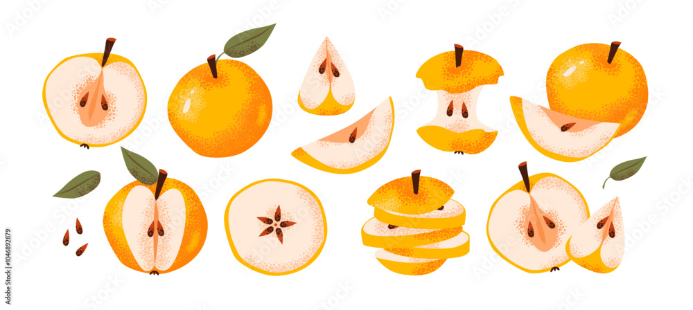 Fototapeta premium Apples in different forms, slice, whole, core isolated on a white background. Flat illustration of fresh apple. Healthy eating and agricultural sustainability