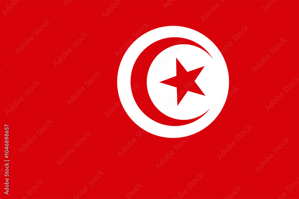 Fototapeta premium flag of tunisia