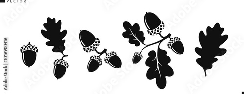 Oak branch with acorns silhouette. Vintage style vector. Oak tree vector. Isolated acorns with leaves 
