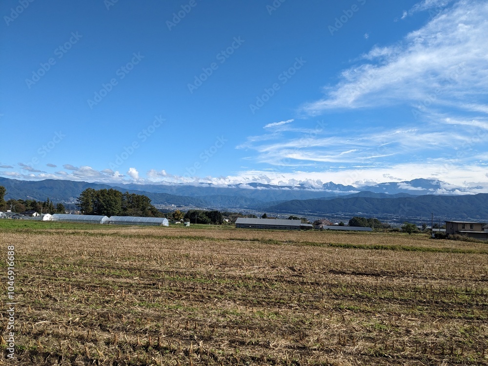 青空と田んぼ 青空と田んぼ
