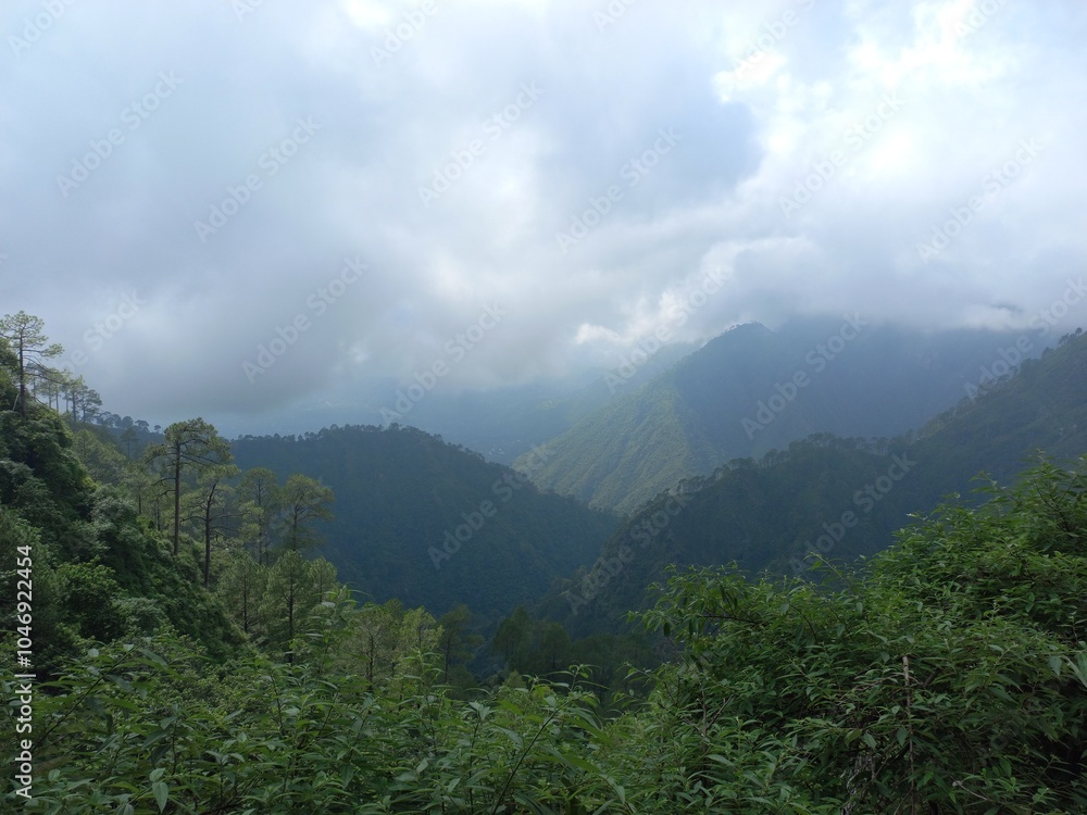 Fototapeta premium Is very beautiful to see every tree in the mountains during the all season. The weather of the mountains surrounded by clouds and the trees and plants look very beautiful Beautiful seenery have in,