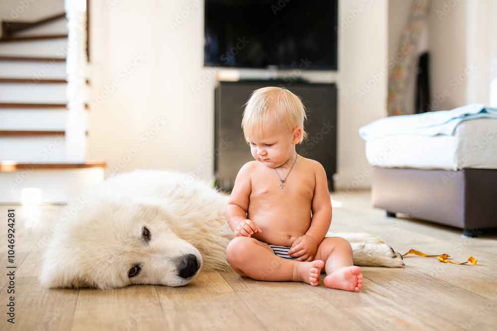 Portrait of cute adorable little blonde baby boy sitting with dog at home. Smiling child holding animal domestic pet. Happy childhood concept Portrait of cute adorable little blonde baby boy sitting with dog at home. Smiling child holding animal domestic pet. Happy childhood concept