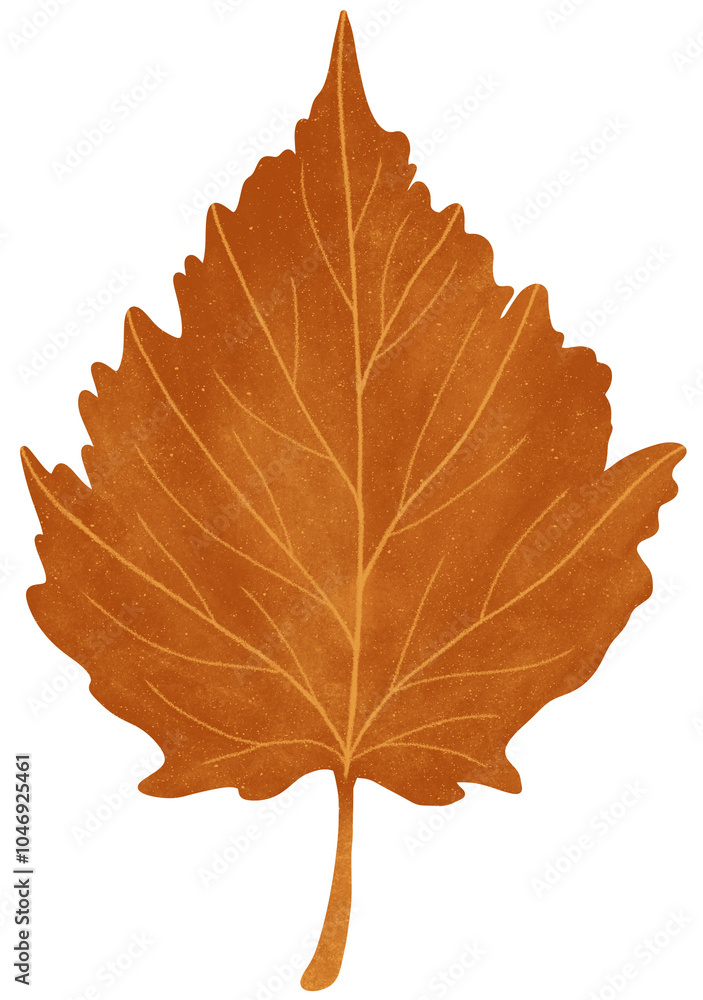 Fototapeta premium Hand-drawn textured autumn birch leaf isolated on a transparent background. Beautiful fall season decoration in watercolor style in orange shades