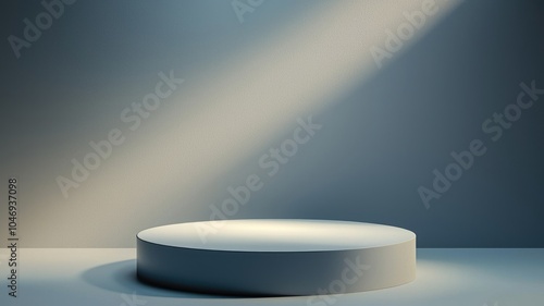 A Single Circular Platform Against a Light Grey Background