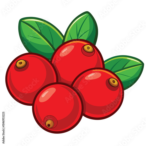 Cranberry vector illustration Isolated white background.