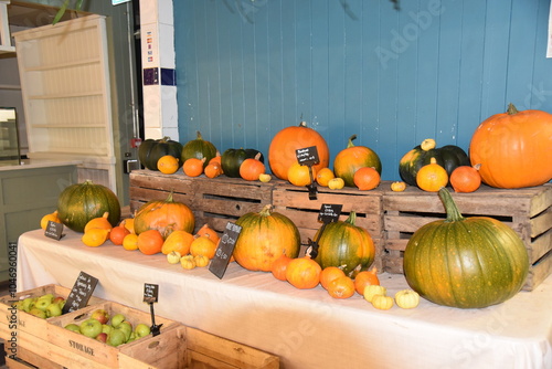 pumpkins and gourds