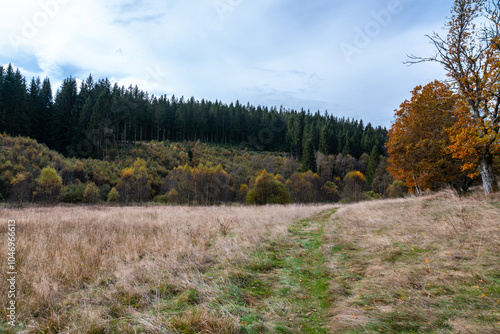 Wanderweg zu den Bieley-Felsen - Das 