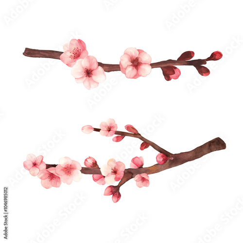 Hand-drawn water colour painting plum blossom