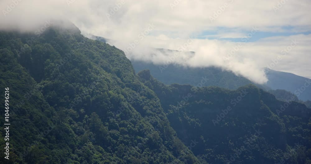 Misty Hills of Arco de Sao Jorge, Madeira, Portugal Misty Hills of Arco de Sao Jorge, Madeira, Portugal