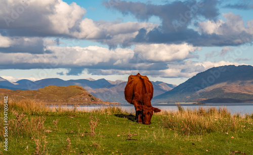 Views around the Scottish mainland near Lochaline photo