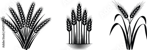 Group of wheat, vector illustration.