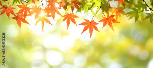 Red maple leaves in autumn with copy space