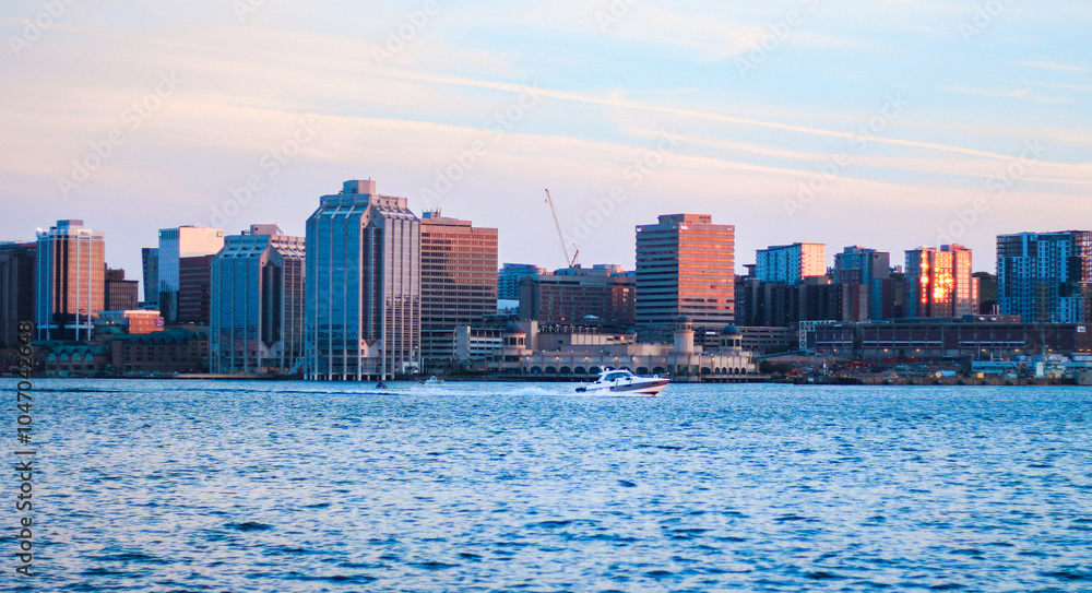 Fototapeta premium city skyline at sunset