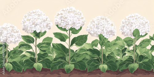 A row of panicle hydrangeas growing in a shaded outdoor flowerbed, illustration art photo