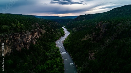 A river winds through a lush green canyon.