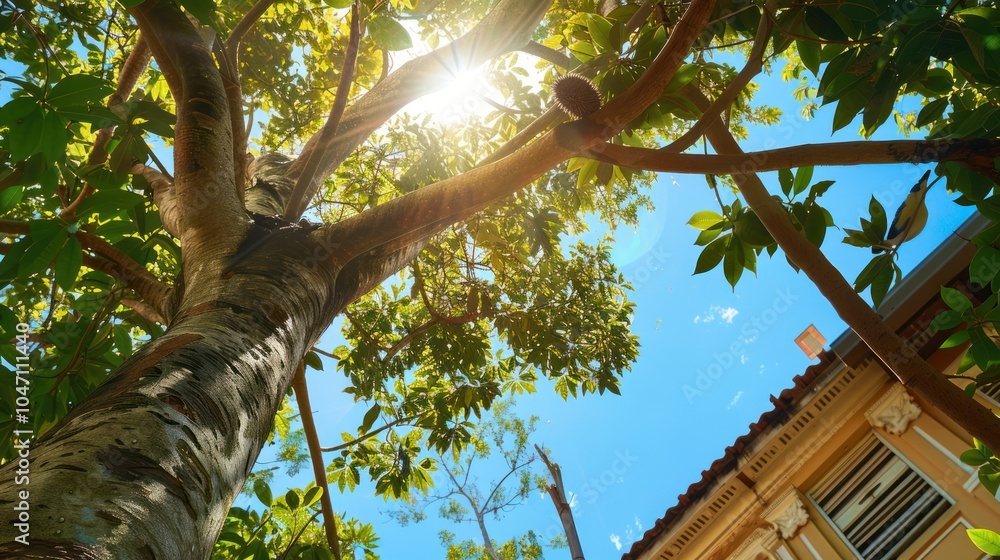 Fototapeta premium Sunlit Tree Branches and Leaves Against a Blue Sky