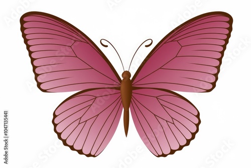 A pink butterfly with brown veins on its wings isolated on a white background.