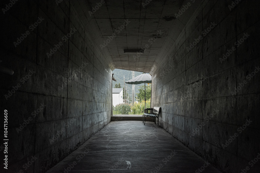 Obraz premium トンネルの出口－群馬県沼田市利根町 