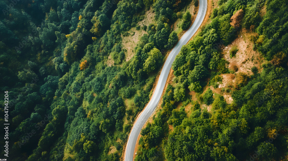 Winding Road Through Lush Green Hills Winding Road Through Lush Green Hills
