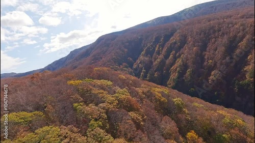 aomori japan fpv drone 4k footage autumn leaves Jogakura Bridge
