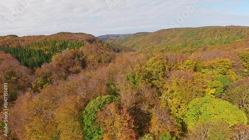 aomori japan fpv drone 4k footage autumn leaves Jogakura Bridge