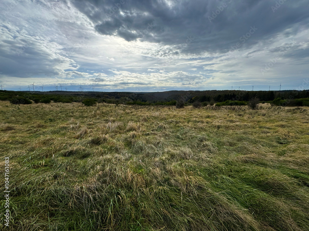 Wide landscape with sky Wide landscape with sky