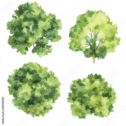 Abstract Watercolor Green Tree Top View Set