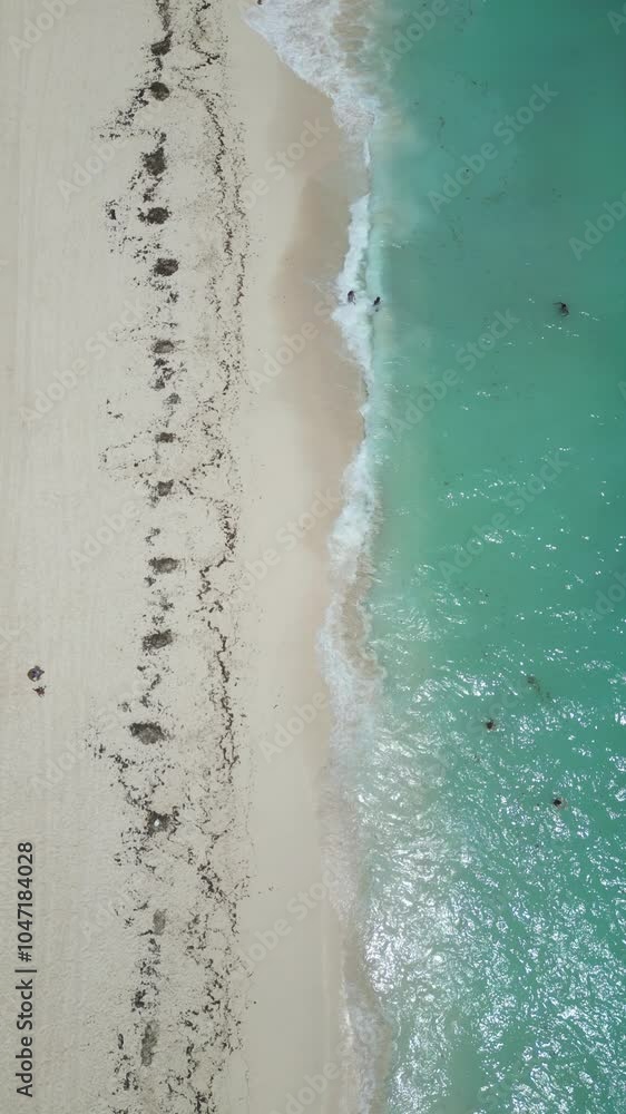 Aerial Top view of a transparent blue sea with beautiful waves at sunny day in summer. Tropical landscape from the air of ocean with azure water, sandy bottom at sunset. Cancun, Mexico. Aerial Top view of a transparent blue sea with beautiful waves at sunny day in summer. Tropical landscape from the air of ocean with azure water, sandy bottom at sunset. Cancun, Mexico.