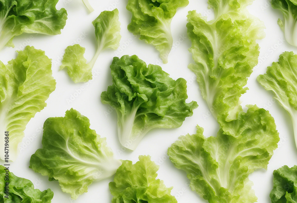 Salad lettuce leaf isolated on white background full depth of field Salad lettuce leaf isolated on white background full depth of field