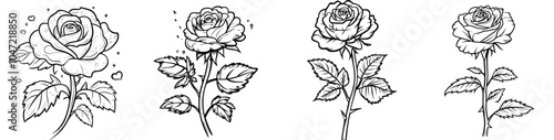 A modern isolated rose flower on a stem with leaves in black and white