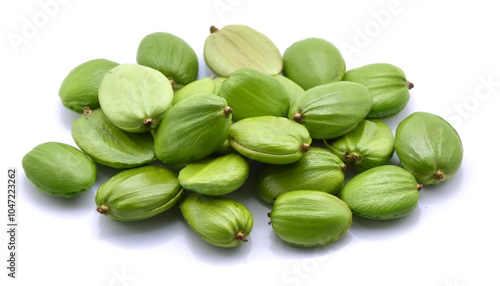 Wallpaper Mural Petai isolated on a white background Torontodigital.ca