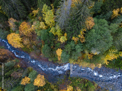 wildness in the mountains. forest in vibrant autumn colors orange, yellow, green from abovecreek water flow in black creek bed, wild romantic concept,aerial view, full frame, background photo