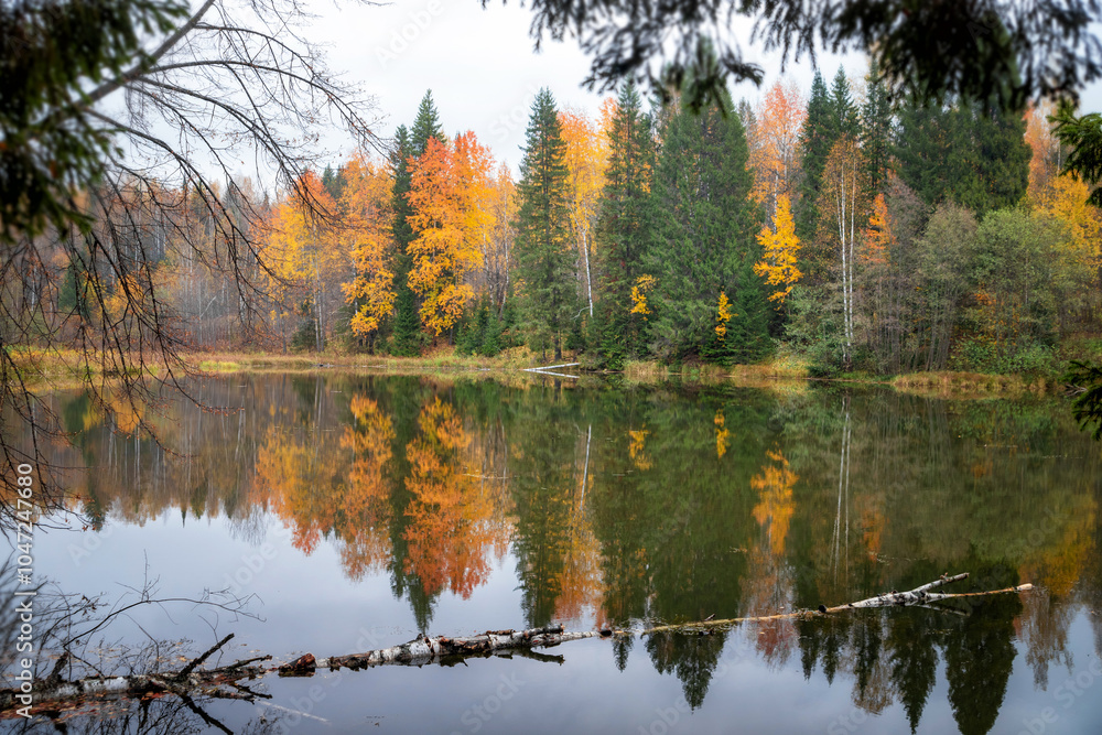 autumn trees reflected in water autumn trees reflected in water