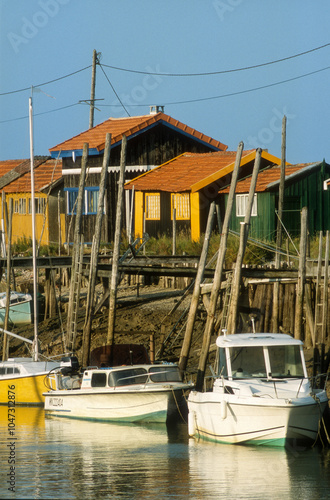 Foto Huitre, Ostrea edulis, Port ostreicole, La Tremblade, 17, Charente Maritime, Fra