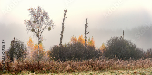 Fototapeta Naklejka Na Ścianę i Meble -  Mglisty poranek na Mazurach.