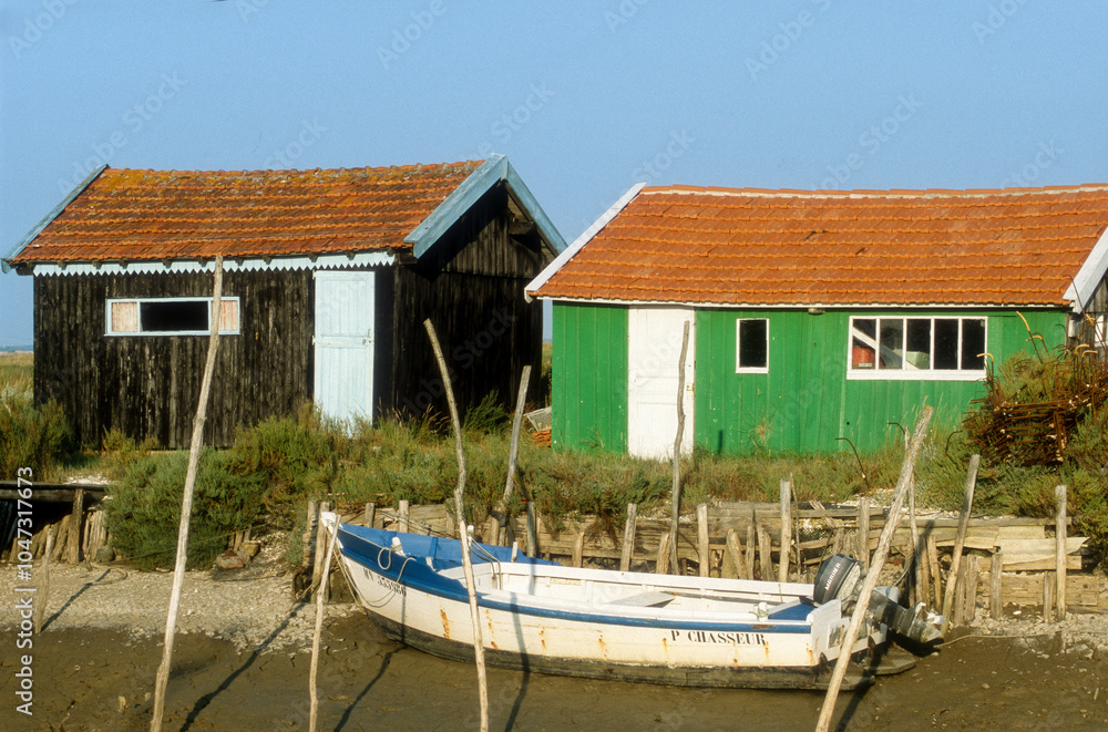 Huitre, Ostrea edulis, Port ostreicole, La Tremblade, 17, Charente Maritime, France Huitre, Ostrea edulis, Port ostreicole, La Tremblade, 17, Charente Maritime, France
